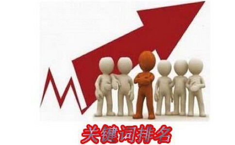 專注于SEO有什么好處？