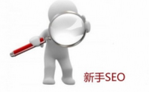 新人SEO優(yōu)化遇到很多問題